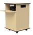 Educator Multimedia Projector Cart