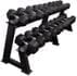 55-100 Lb. Dumbbell Set w/Storage Rack - 1550 lbs. Total