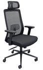 Linear Mesh Black Ergonomic Chair with Headrest