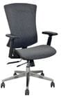 Ergonomic Adjustable Flex-Back Fabric Chair w/ Seat Slide