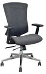 Ergonomic Adjustable Flex-Back Fabric Chair w/ Seat Slide