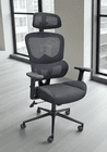 LineaForm Black Ergonomic Mesh Chair with Molded Foam Seat