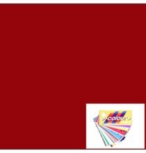 Rosco E Colour 027 Medium Red Gel Lighting Filter Sheet