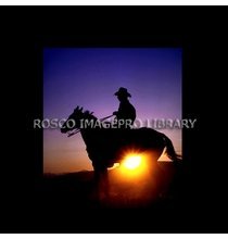 Rosco iPro Slide Cowboy P8855