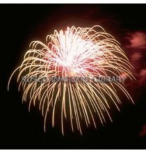 Rosco iPro Slide Fireworks P2852
