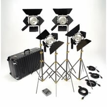 Lowel Omni 4 Lighting Kit with TO-83 Case O1-953Z