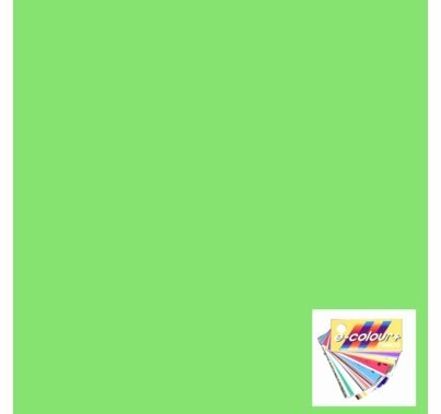 Rosco E Colour 244 Full Plus Green Correction Gel Filter  Roll 48"x25ft