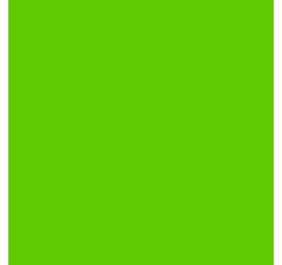 Rosco Fluorescent Paint, Green, Pint, 5783