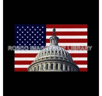 Rosco iPro Slide US Flag / Capitol P1853