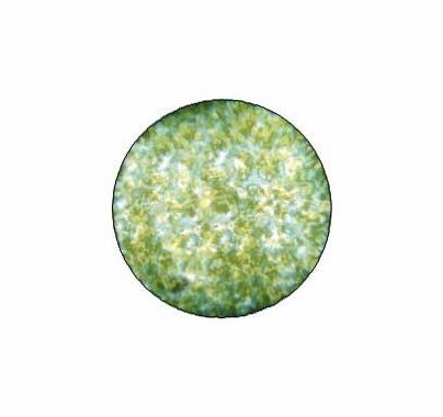 Rosco Green Yellow Stippled Colorizer Glass Gobo Pattern B Size 55008
