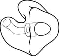 Westone Style 34 Custom Ear Molds for Etymotic Earphones (One Pair)
