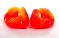 Perfect-Fit™ CSWP Model Custom Swimming Ear Plugs (FREE Impression Kit + FREE Shipping Included!) (One Pair)