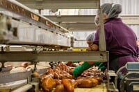 Food Industry Hearing Protection