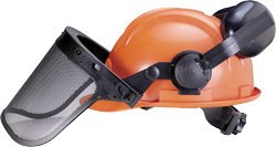 Chainsaw and Forestry Helmets