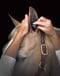 Plughz Horse Ear Plugs Stable Pack (10 Pairs)