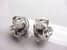 InEarZ Model IE250 Dual Driver Professional Custom Musician Monitor Earphones