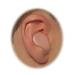 Mack's Shooters Moldable Silicone Putty Ear Plugs - Beige (3 Pairs)